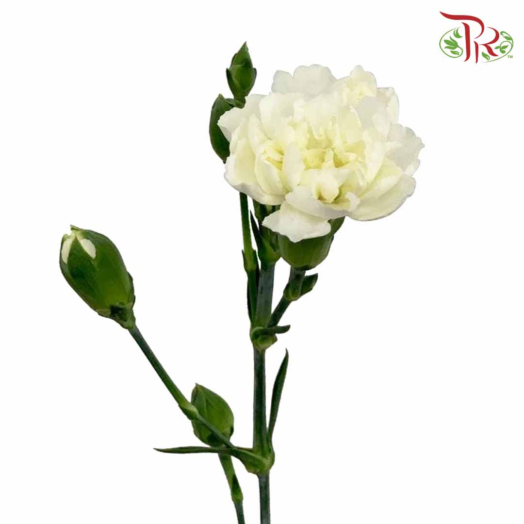 One stem bouquet