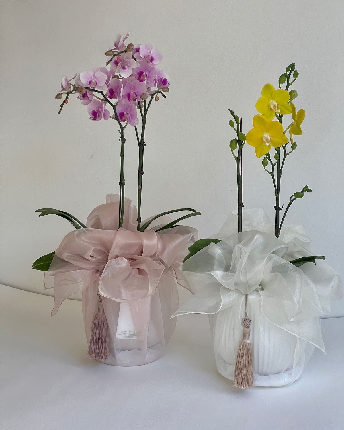 Corporate Grace Arrangement