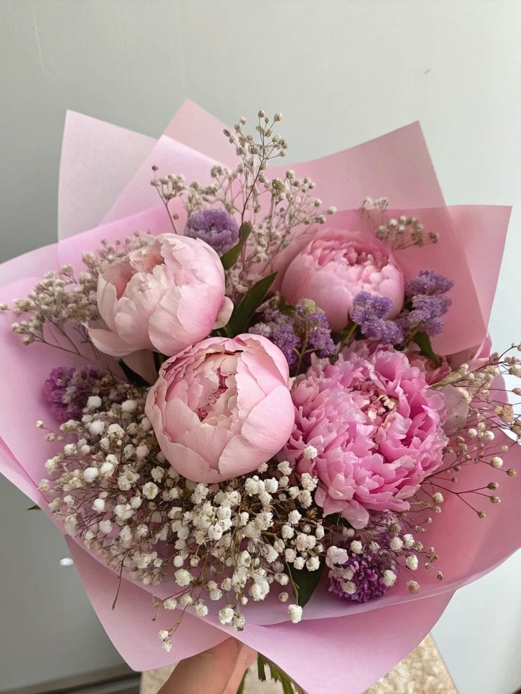 Peony Garden Romance